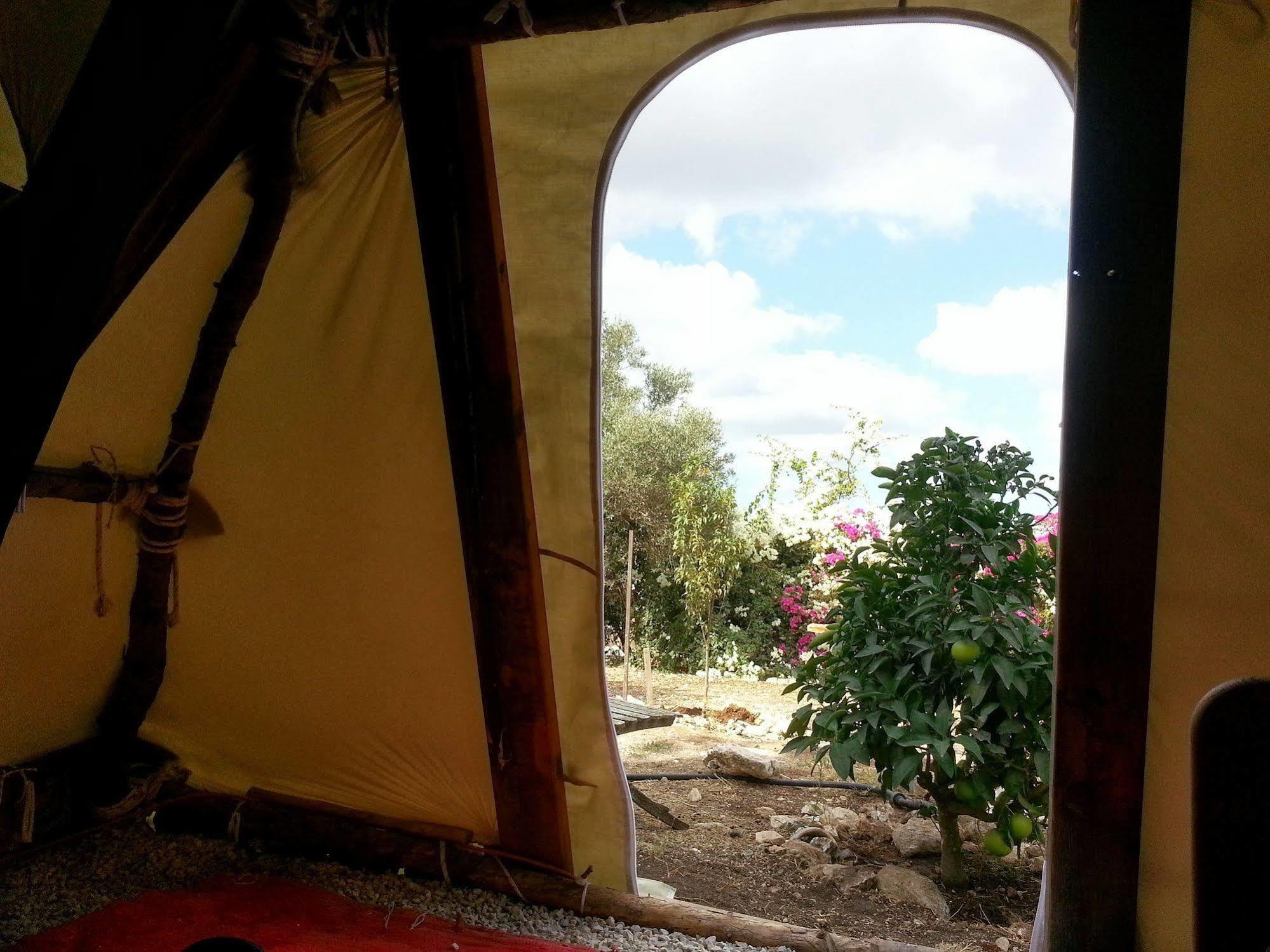 Galilee Bedouin Camplodge Tabash Exterior foto